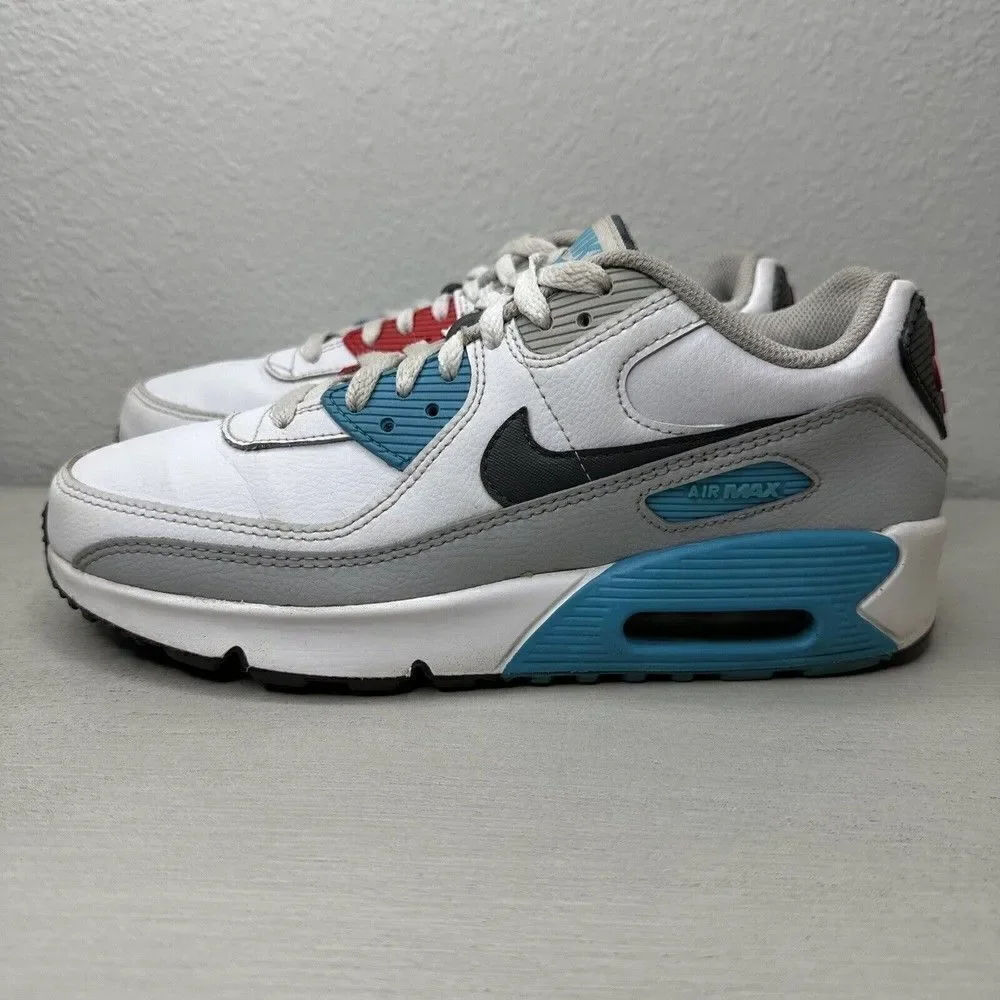 Nike Air Max 90 LTR Shoes